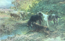 Carica l'immagine nel visualizzatore di Gallery, CARTOLINA CANI E MONTONI M. CALVES 1912 CC03