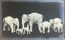 Carica l'immagine nel visualizzatore di Gallery, CARTOLINA ELEFANTI INIZI 900 CC03