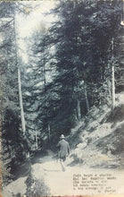 Carica l'immagine nel visualizzatore di Gallery, CARTOLINA VERSI PARINI 1920 CC03