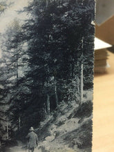 Carica l'immagine nel visualizzatore di Gallery, CARTOLINA VERSI PARINI 1920 CC03