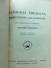 Carica l'immagine nel visualizzatore di Gallery, BUCOLICHE E GEORGICHE VIRGILIO C100