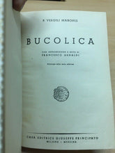 Carica l'immagine nel visualizzatore di Gallery, BUCOLICA VIRGILIO C105