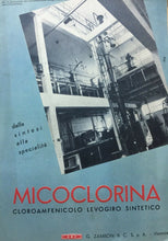 Carica l'immagine nel visualizzatore di Gallery, PUBBLICITÀ MICOCLORINA CARTINA TRENTINO ALTO ADIGE 1955 H66