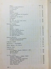 Carica l'immagine nel visualizzatore di Gallery, LETTURE DESANCTISIANE L. COSTANZO H83