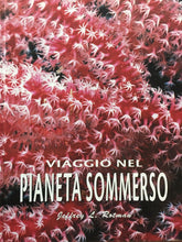 Carica l'immagine nel visualizzatore di Gallery, VIAGGIO NEL PIANETA SOMMERSO J. L. ROTMAN WHITE STAR K566