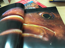 Carica l'immagine nel visualizzatore di Gallery, VIAGGIO NEL PIANETA SOMMERSO J. L. ROTMAN WHITE STAR K566