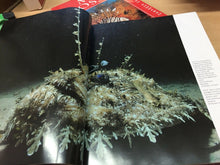 Carica l'immagine nel visualizzatore di Gallery, VIAGGIO NEL PIANETA SOMMERSO J. L. ROTMAN WHITE STAR K566