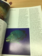 Carica l'immagine nel visualizzatore di Gallery, MAR ROSSO PARADISO SOMMERSO WHITE STAR K567