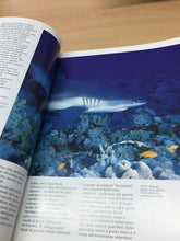 Carica l'immagine nel visualizzatore di Gallery, MAR ROSSO PARADISO SOMMERSO WHITE STAR K567