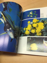 Carica l'immagine nel visualizzatore di Gallery, MAR ROSSO PARADISO SOMMERSO WHITE STAR K567