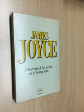 Carica l'immagine nel visualizzatore di Gallery, THE PORTRAIT OF THE ARTIST AS A YOUNG MAN J. JOYCE PANTHER 1956 O376