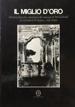 Carica l'immagine nel visualizzatore di Gallery, IL MIGLIO D’ORO ITINERARI FOTOGRAFICO ATTRAVERSO VILLE VESUVIANE P.GRIMALDI L624