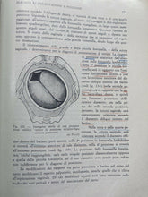 Carica l'immagine nel visualizzatore di Gallery, OSTETRICIA E GINECOLOGIA VOL. I MORACCI IDELSON Y14