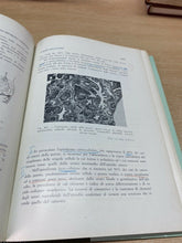 Carica l'immagine nel visualizzatore di Gallery, OSTETRICIA E GINECOLOGIA VOL. II MORACCI - IDELSON Y154