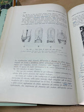 Carica l'immagine nel visualizzatore di Gallery, OSTETRICIA E GINECOLOGIA VOL. II MORACCI - IDELSON Y154