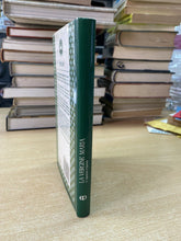 Carica l'immagine nel visualizzatore di Gallery, LA VERGINE MARIA S. AGOSTINO D’IPPONA Z169