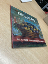 Carica l'immagine nel visualizzatore di Gallery, OPLONTIS QUARTIERE SUBURBANO DI POMPEI Z202
