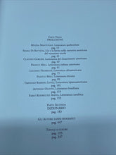 Carica l'immagine nel visualizzatore di Gallery, LETTERATURE DELLE AMERICHE ENCICLOPEDIA TEMATICA APERTA JACA BOOK BD51