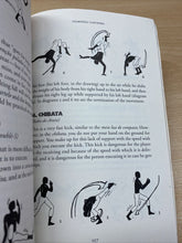 Carica l'immagine nel visualizzatore di Gallery, THE LITTLE CAPOEIRA BOOK - NESTOR CAPOEIRA BB25