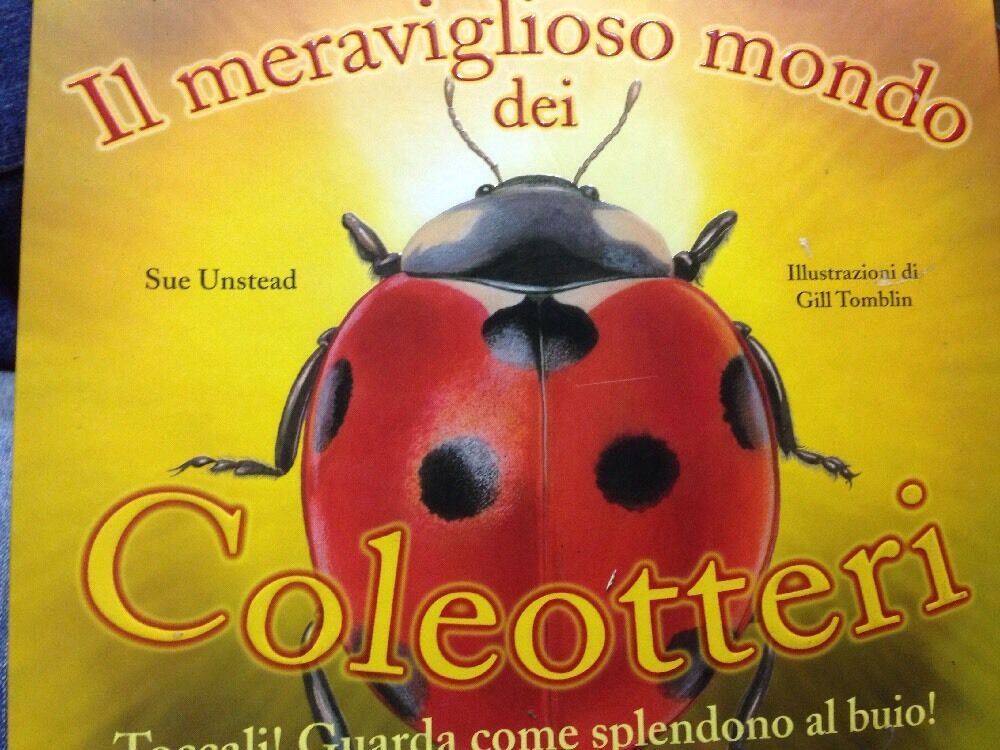 Il Meraviglioso Mondo Dei Coleotteri