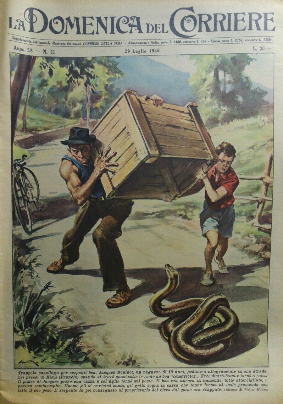 LA DOMENICA DEL CORRIERE N.31 1956 TRAPPOLA PER SERPENTI