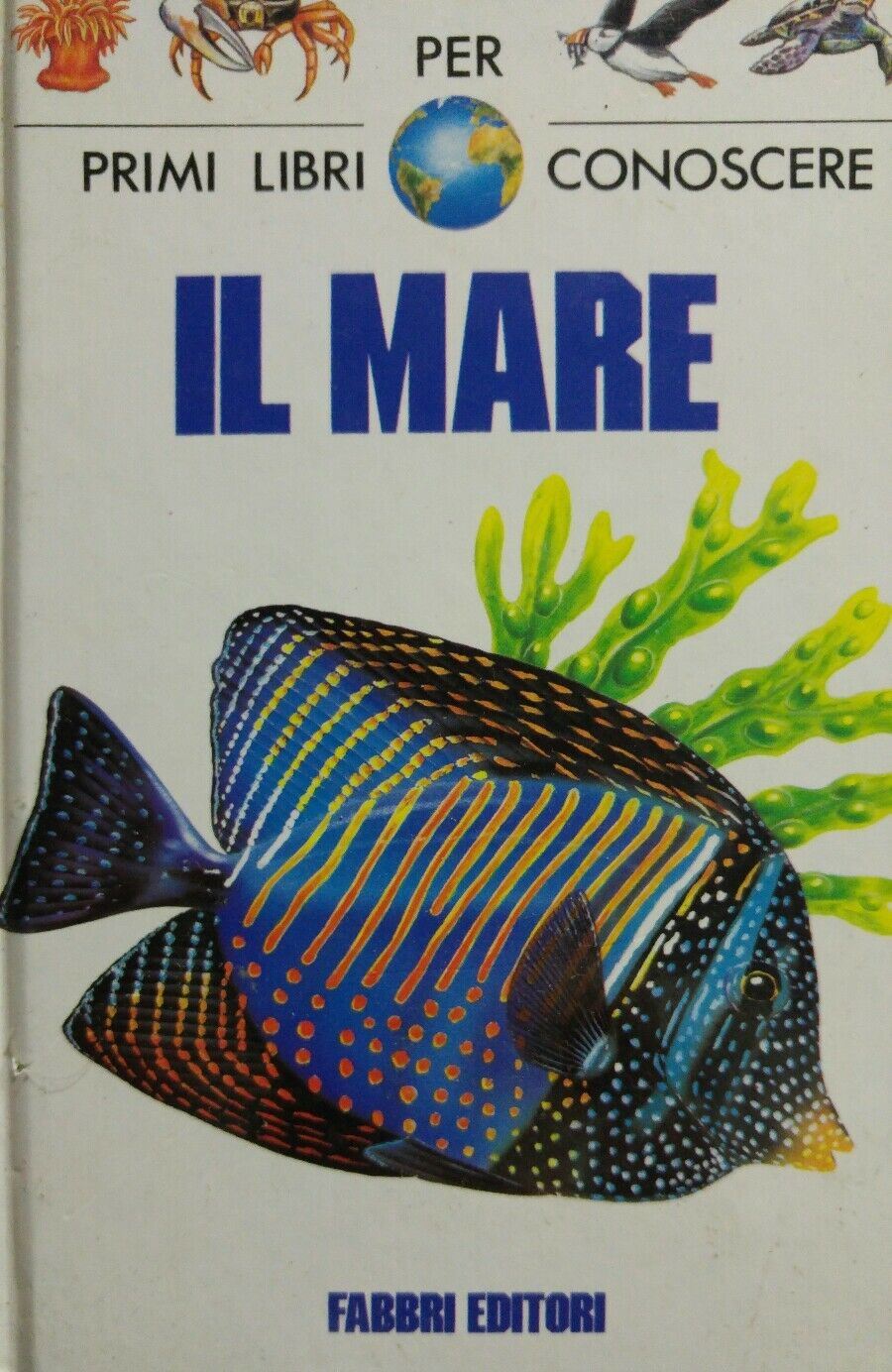 IL MARE PRIMI LIBRI PER CONOSCERE FABBRI EDITORI