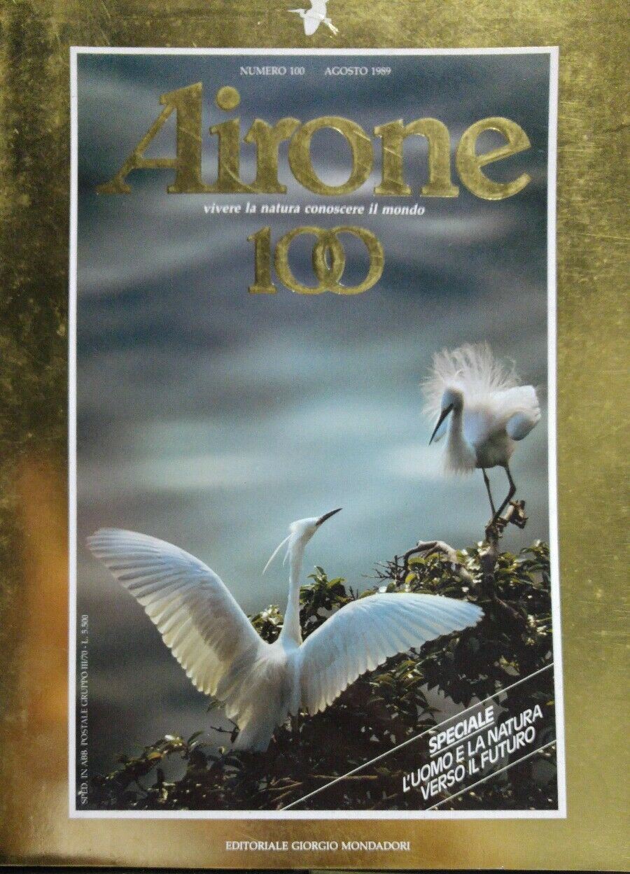 AIRONE N.100 1989