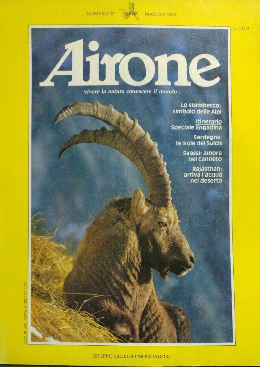 AIRONE N.25 1983