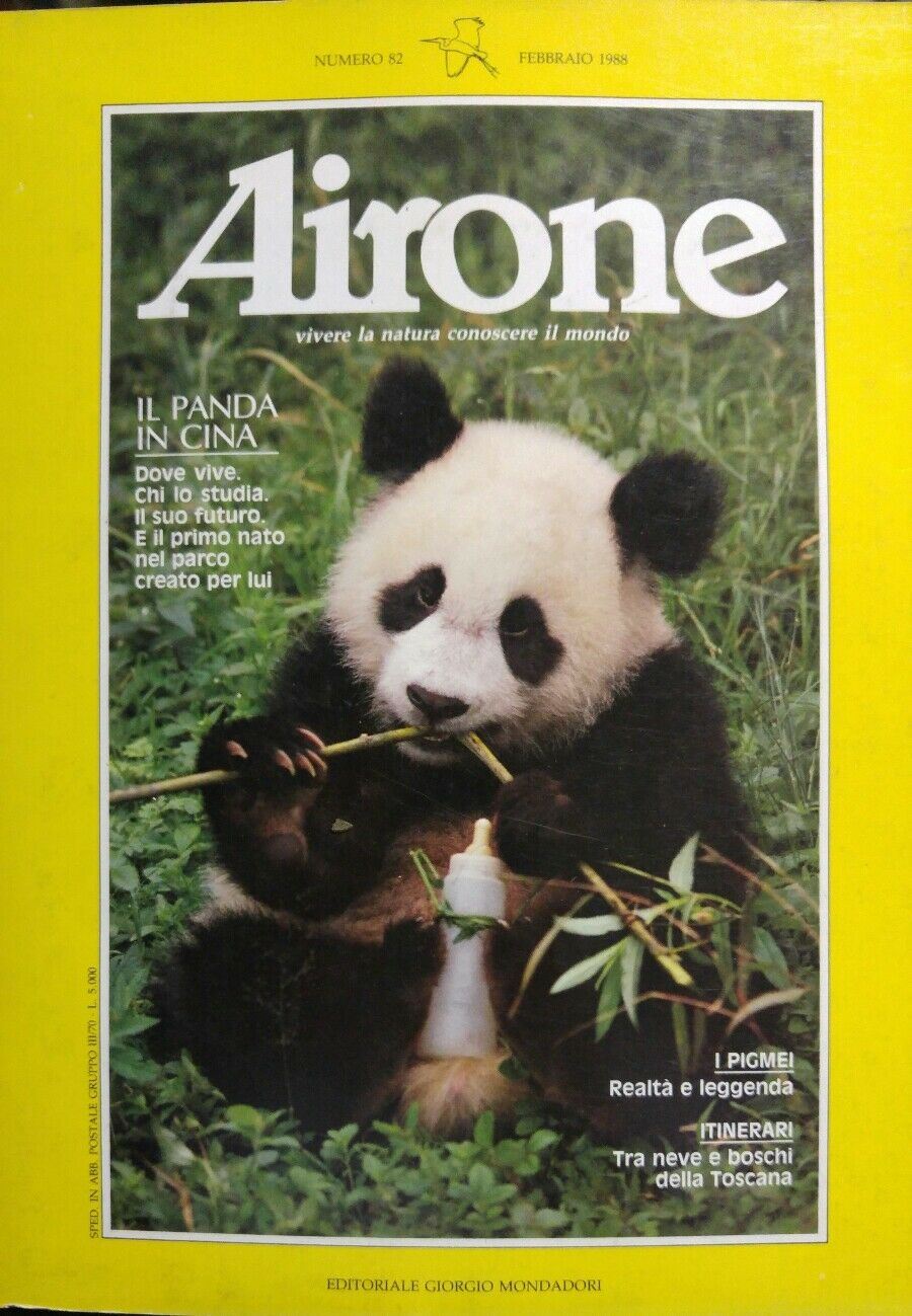 AIRONE N.82 FEBBRAIO 1988