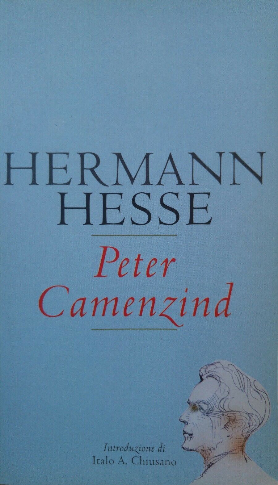 PETER CAMENZIND HERMANN HESSE AE112