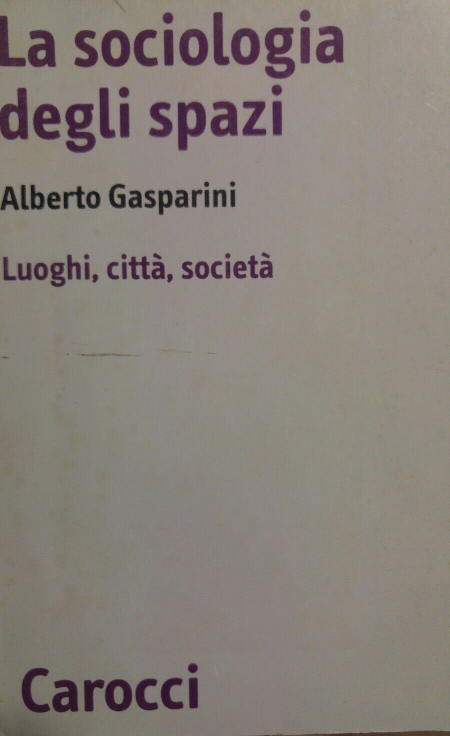 LA SOCIOLOGIA DEGLI SPAZI Luoghi citta' societa' A. Gasparini AE101