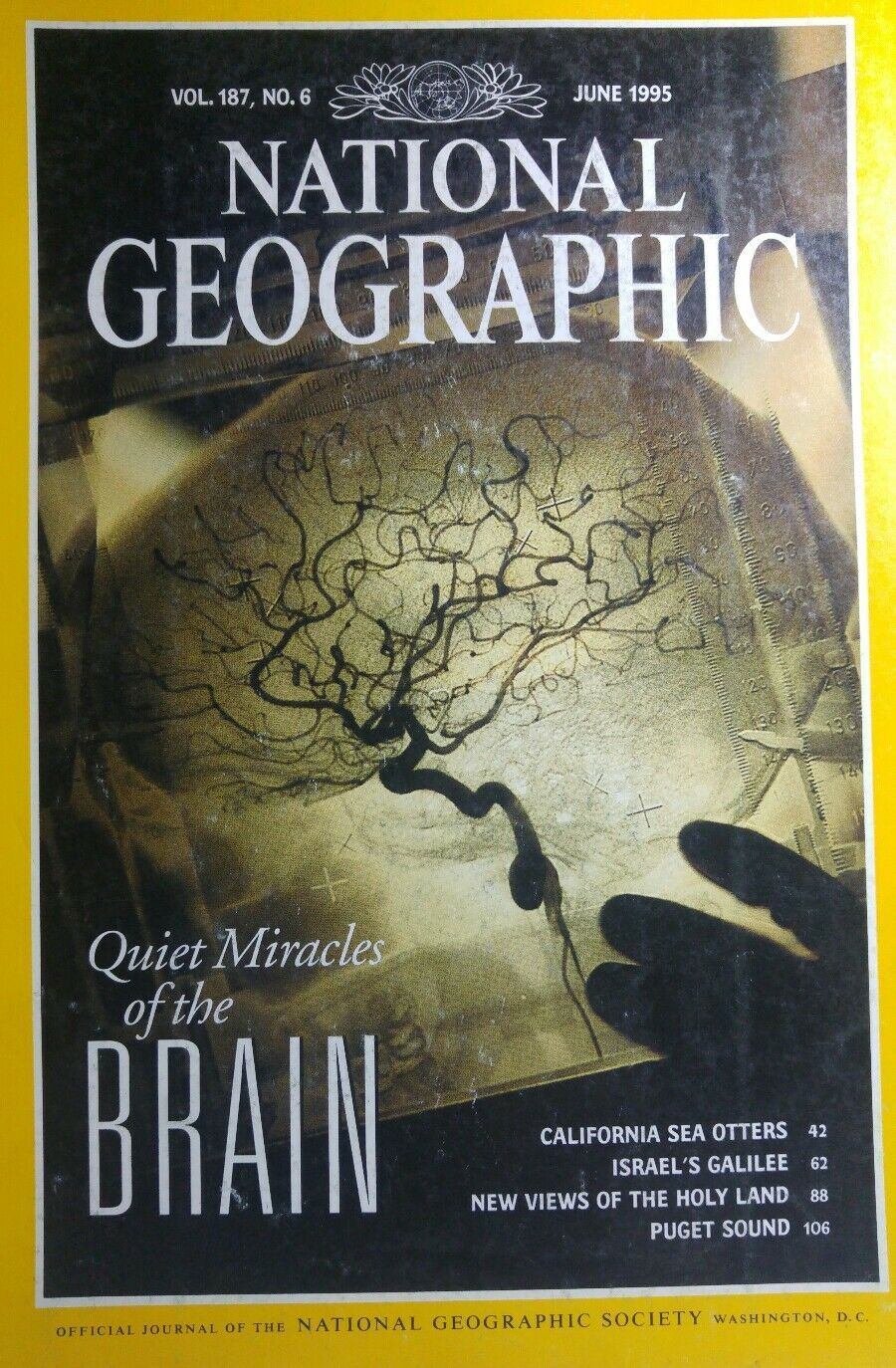 NATIONAL GEOGRAPHIC VOL.187 N.6 JUNE 1995