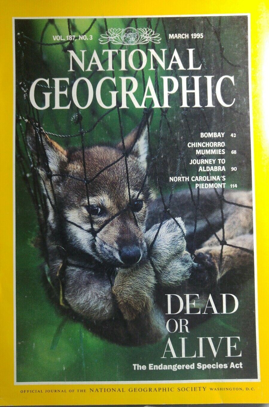 NATIONAL GEOGRAPHIC VOL.187 N.3 MARCH 1995 EN