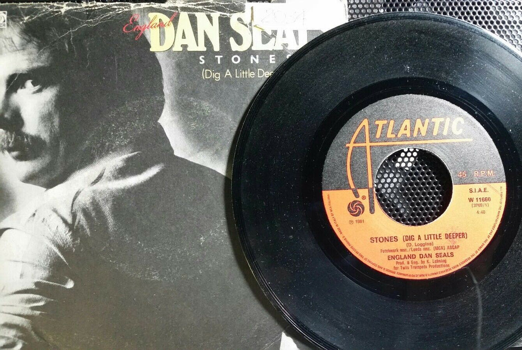 ENGLAND DAN SEALS STONES/TAKE YOU HOME 7