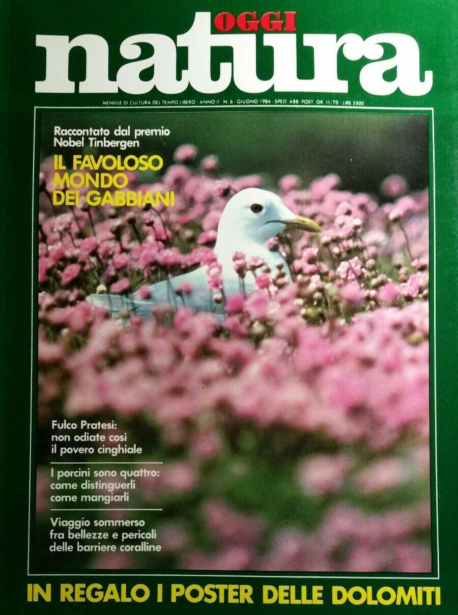 OGGI NATURA N.6 1984