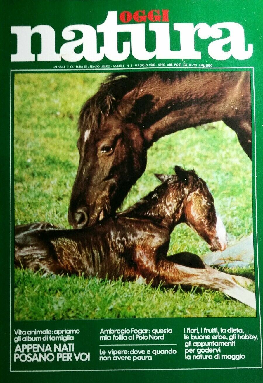 OGGI NATURA N.1 1983