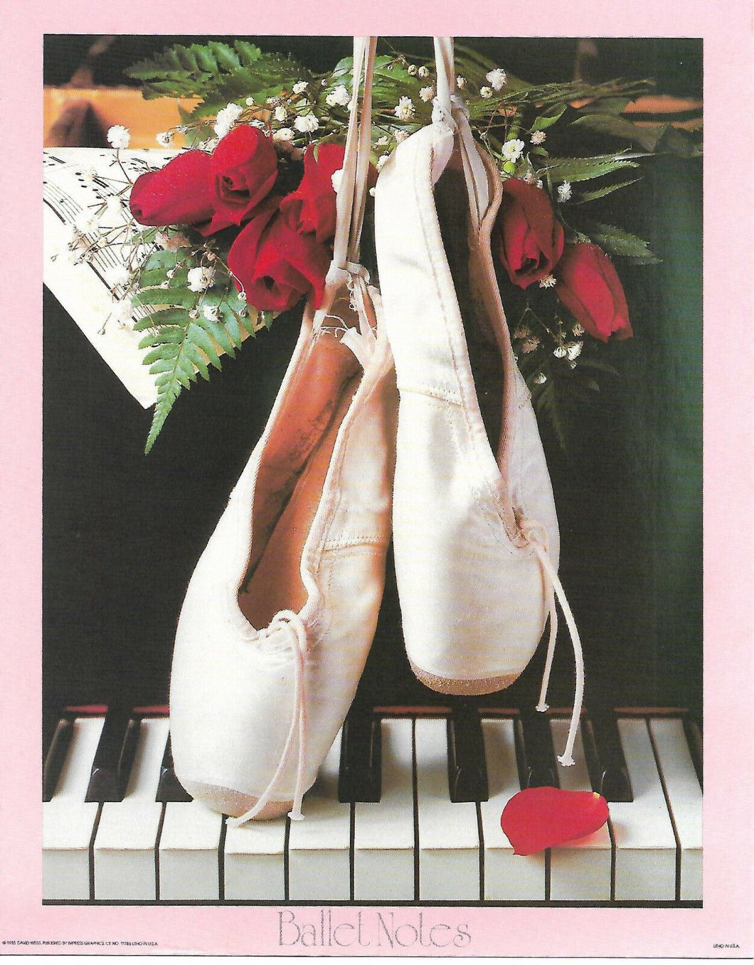 STAMPA BALLET NOTES  ORIGINALE ANNI 80 CM.24X30 CA.