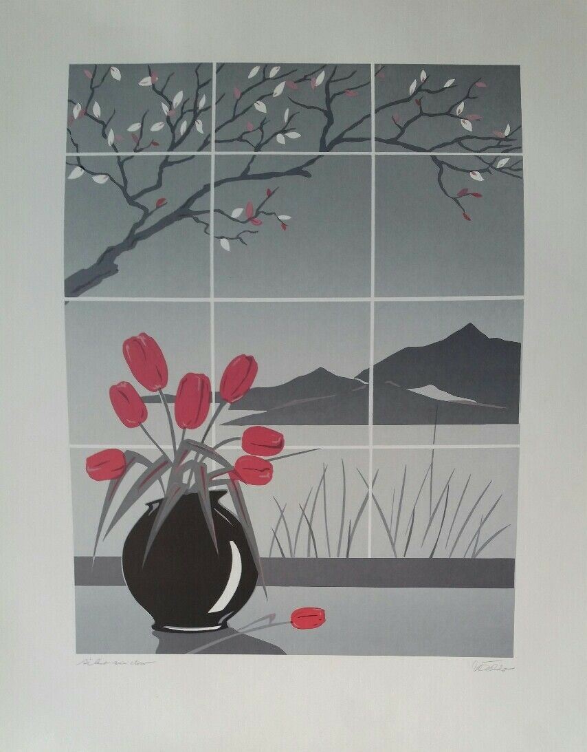 STAMPA LITOGRAFICA   CM.40x50