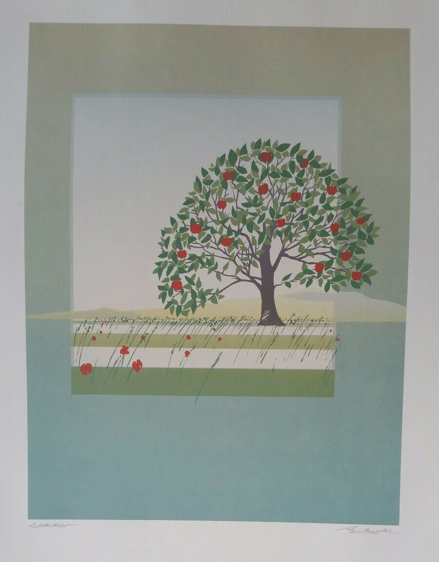 STAMPA LITOGRAFICA   CM.40x50