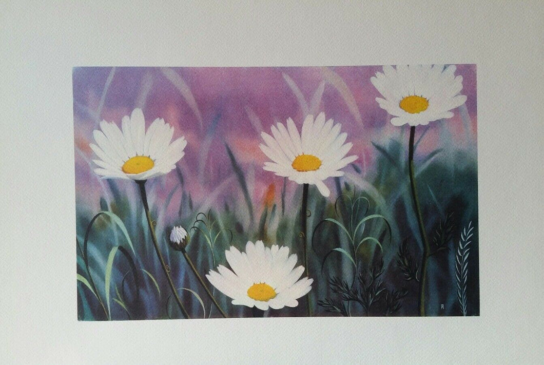 STAMPA LITOGRAFICA   CM.35x50