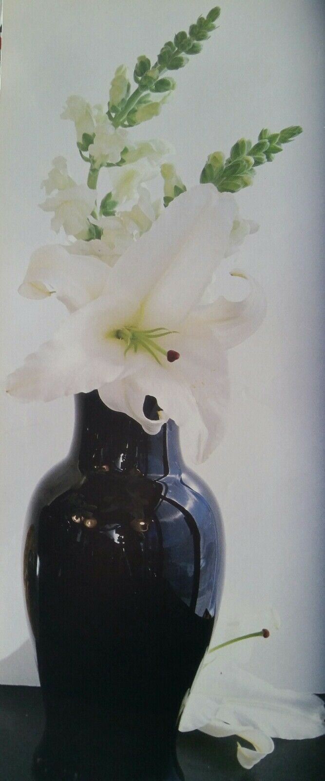 STAMPA LITOGRAFICA   CM.20x50