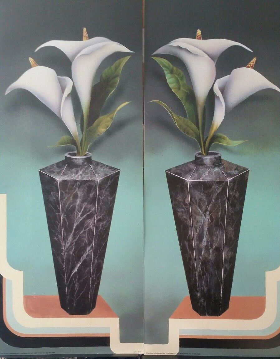 STAMPA LITOGRAFICA   CM.20x50 x2