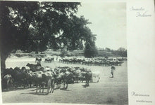 Carica l&#39;immagine nel visualizzatore di Gallery, CARTOLINA SOMALIA ITALIANA 1936 CC01
