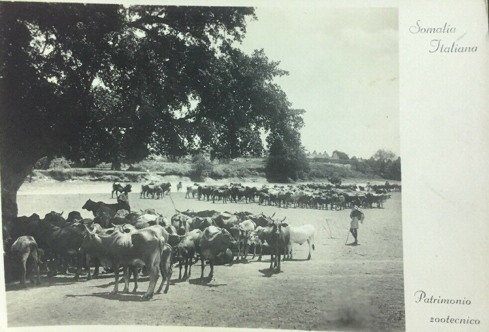 CARTOLINA SOMALIA ITALIANA 1936 CC01