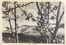 Carica l&#39;immagine nel visualizzatore di Gallery, CARTOLINA ETNA PRIMAVERA 1947 CC04
