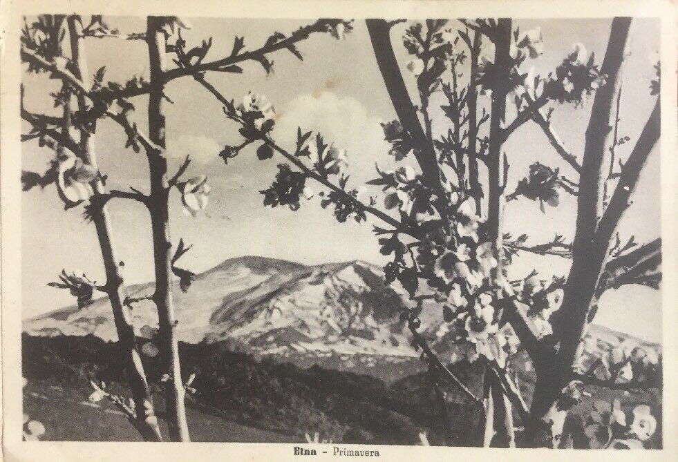 CARTOLINA ETNA PRIMAVERA 1947 CC04