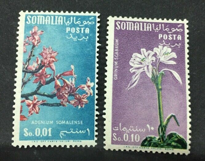 1955 SOMALIA AFIS  FLORA FILIGRANA RUOTA MNH** RF05