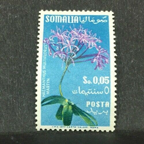 1955 SOMALIA AFIS  FLORA FILIGRANA RUOTA MNH** RF05