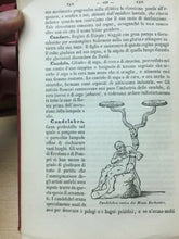 Carica l&#39;immagine nel visualizzatore di Gallery, DIZIONARIO DI COGNIZIONI UTILI UTET 11 VOLUMI 1863 E57
