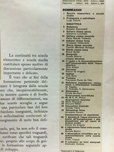 Carica l&#39;immagine nel visualizzatore di Gallery, SCUOLA VIVA 1 GIUGNO 1966 E295
